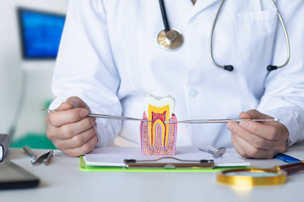Best Pediatric Emergency Dentist in Oostburg, WI